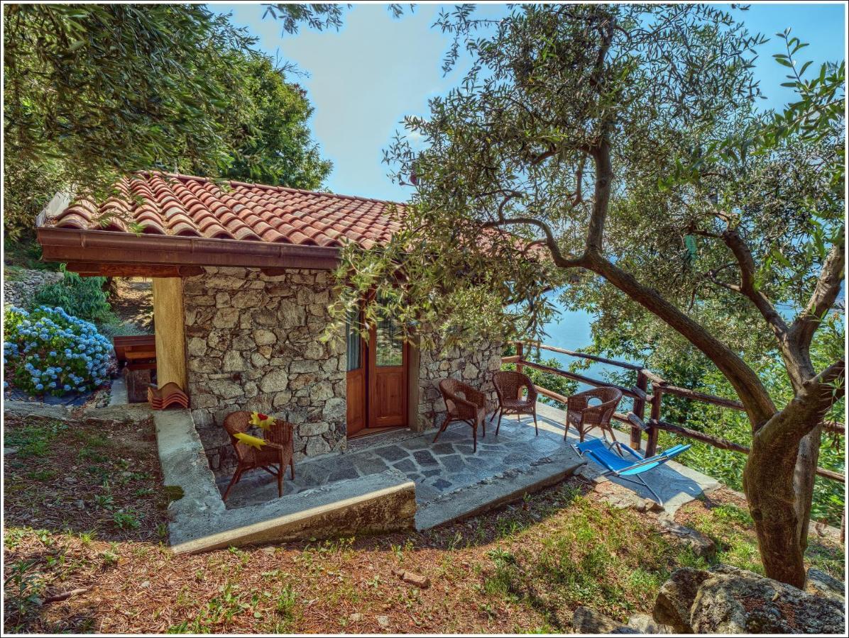 Fantastica Casa Poppo Διαμέρισμα Bellano Εξωτερικό φωτογραφία